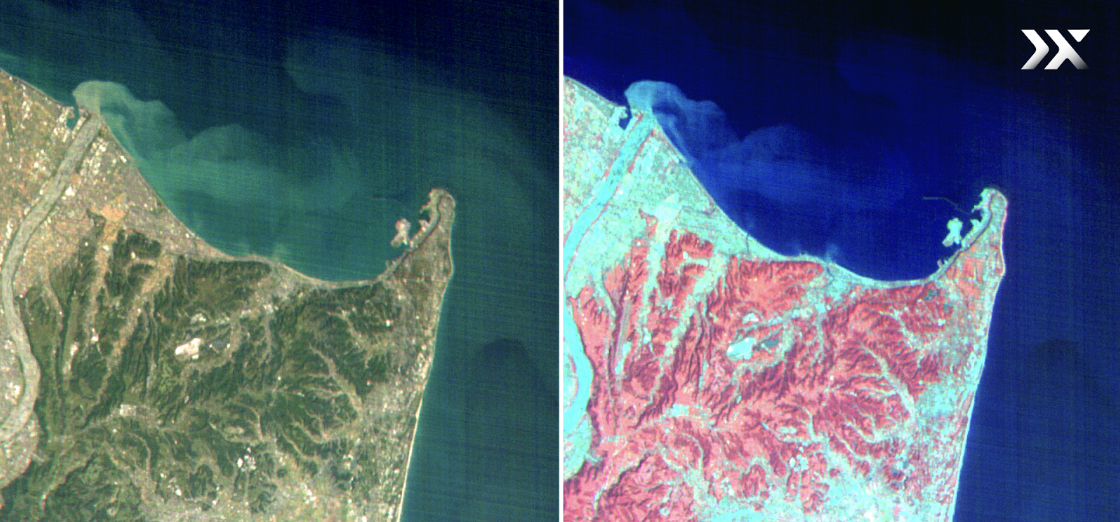 Hyperspectral imaging satellites enable the precise classification of diverse forest tree species, enabling accurate analysis of biomass and carbon sequestration rates (Shizuoka, Japan captured by Pixxel's HSI satellites).